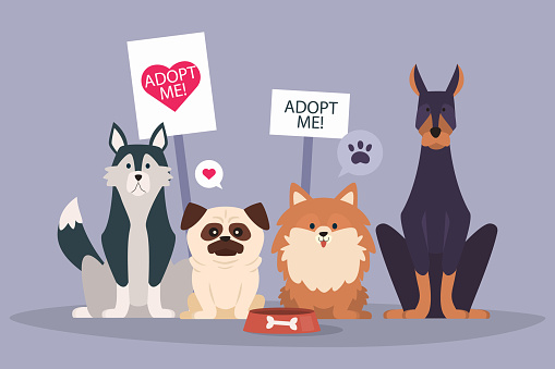 pets-adopt-me